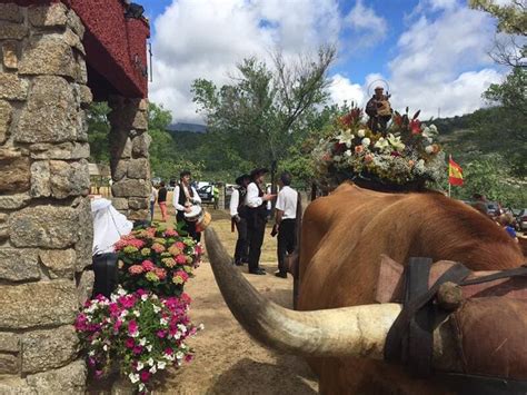 fiestas navacerrada|Fiestas de Navacerrada (verano 2024)